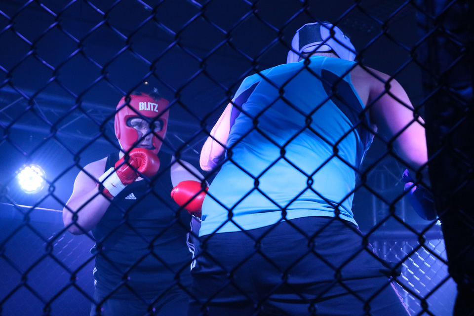 MMA Fight Night - May 2017